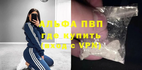 соль ск Надым