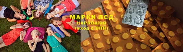 соль ск Надым