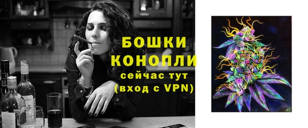 соль ск Надым